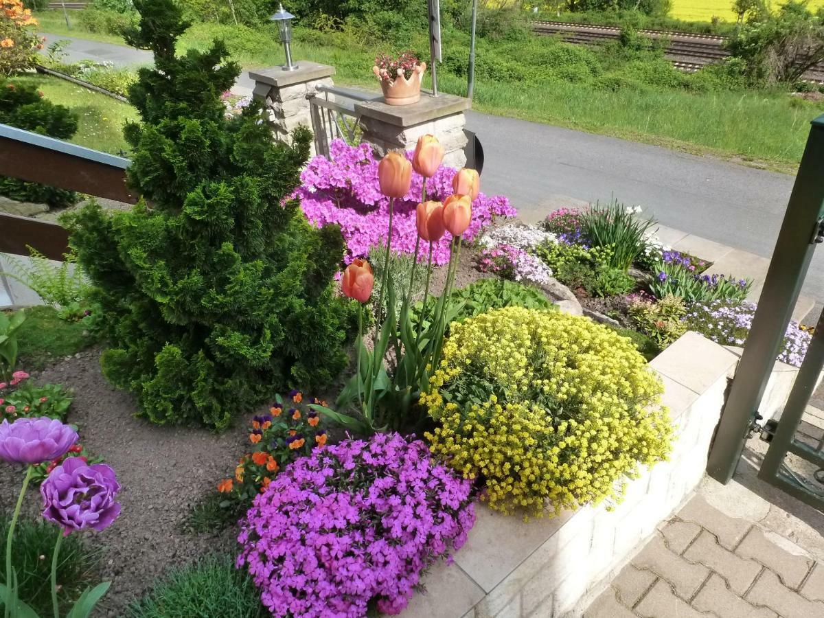 Ferienwohnung Grunwald Kurort Rathen Bagian luar foto